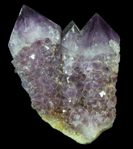 Cactus Quartz (Amethyst) Crystal Cluster - South Africa #64212